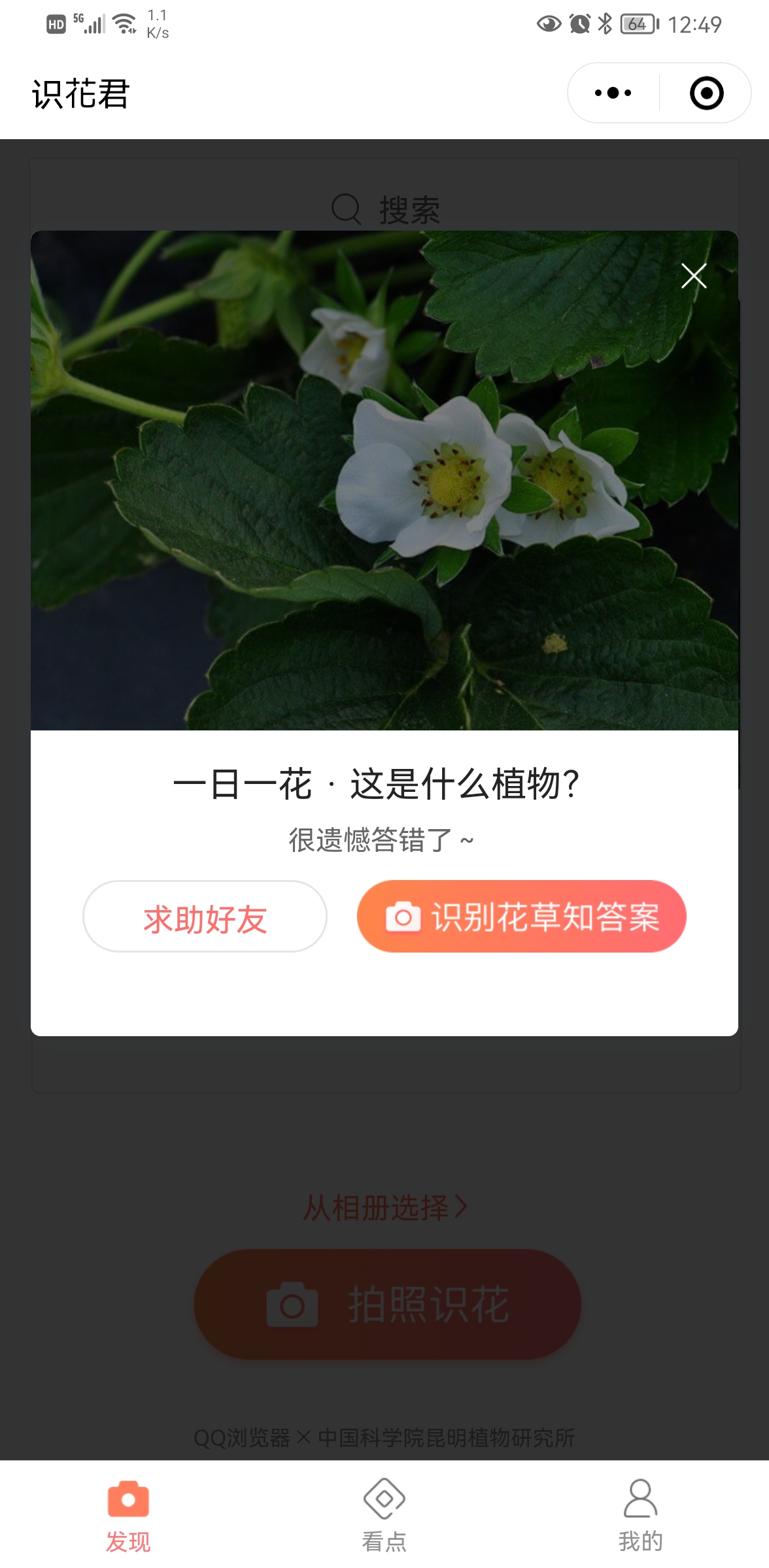 識花君小程序