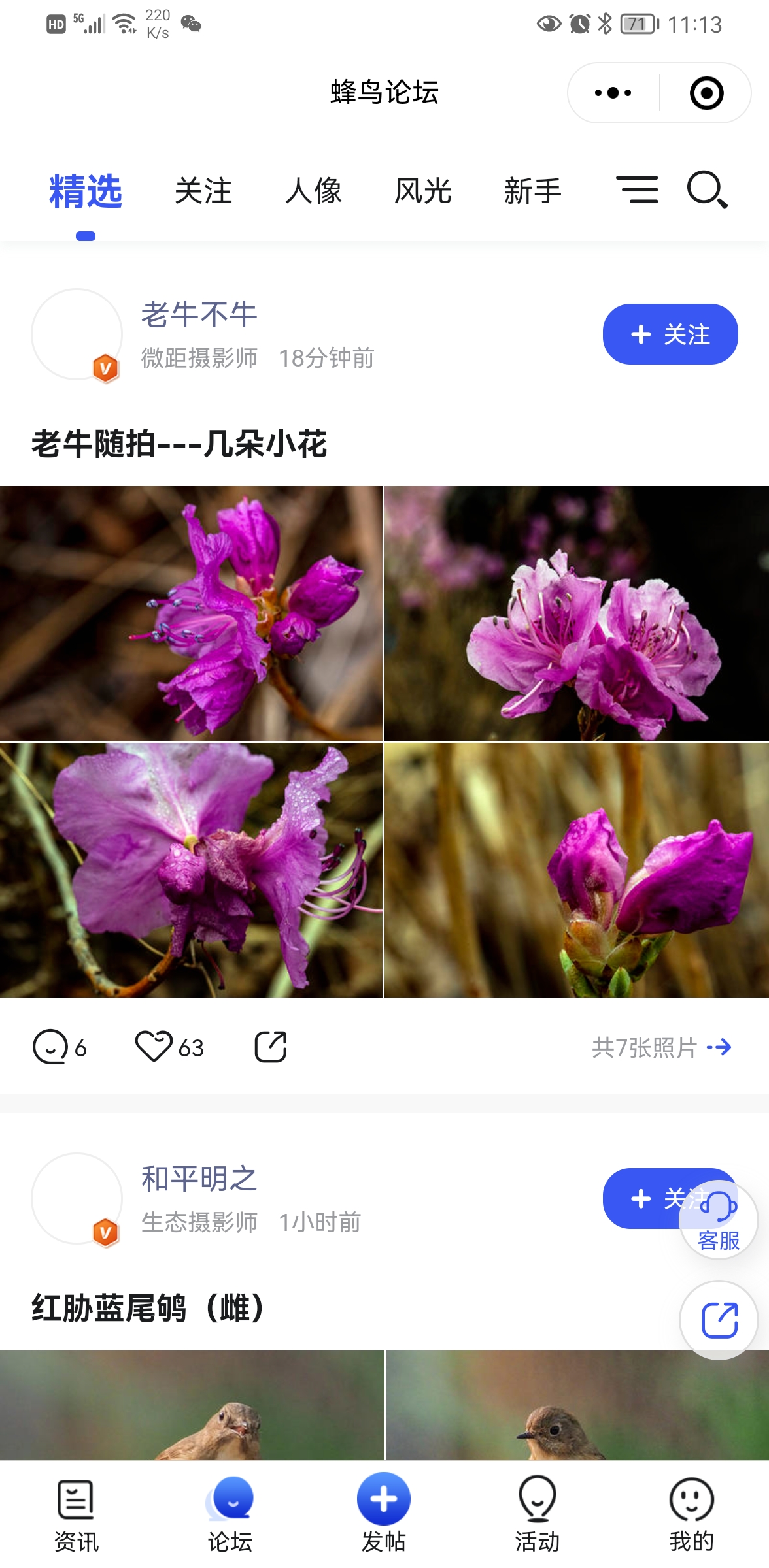 蜂鳥愛攝影小程序